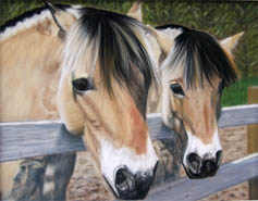 Fine Art Pet Portrait by Artist Donna Aldrich-Fontaine - Norwegian Fiords Horses 2.jpg